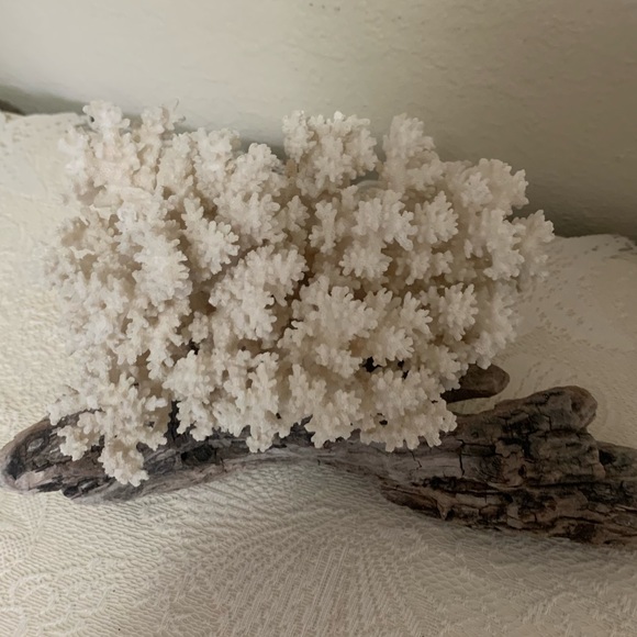 “ Salty Toes & Sandy Kisses” LISTING’s from the Sea! ✨Informational Post✨ - Picture 13 of 14